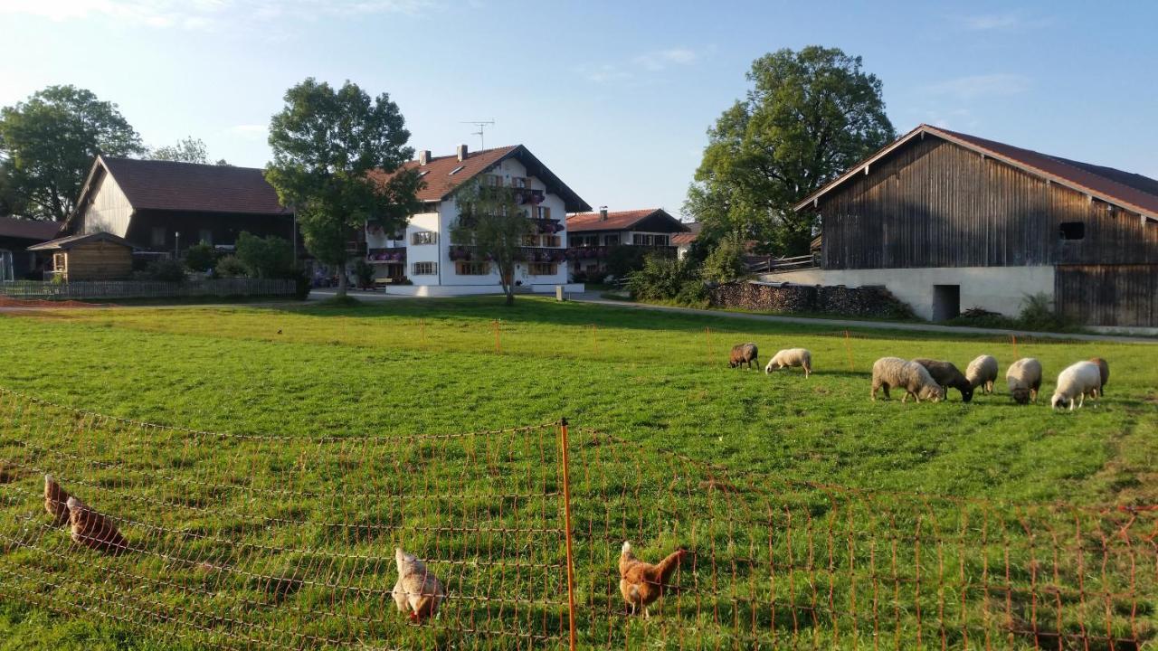 Woidhauserhof Waakirchen Ngoại thất bức ảnh