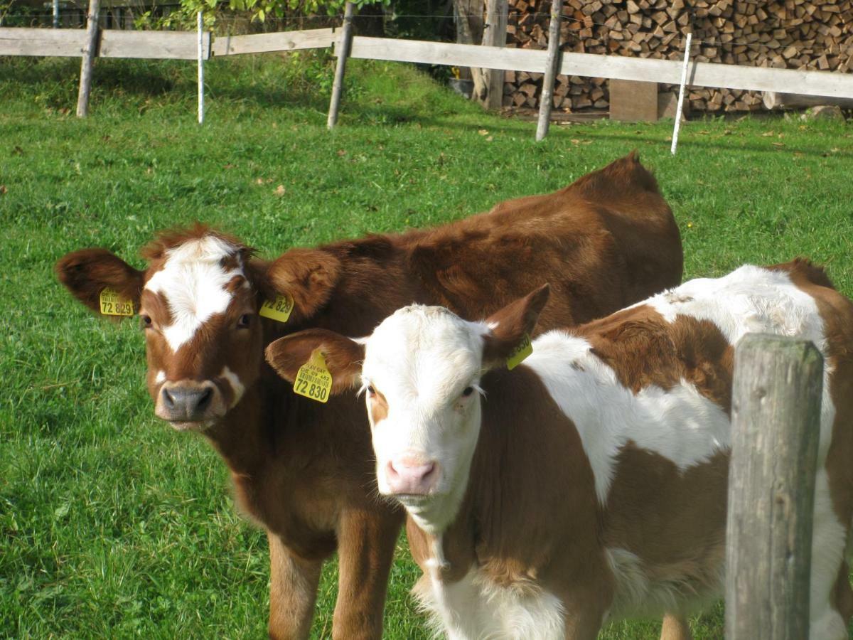 Woidhauserhof Waakirchen Ngoại thất bức ảnh